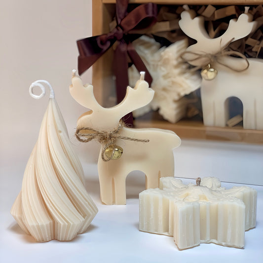 Coffret "Magie Polaire"