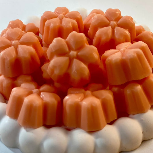 Le fondant de cire végétale, au parfum de l'Orange Épicée