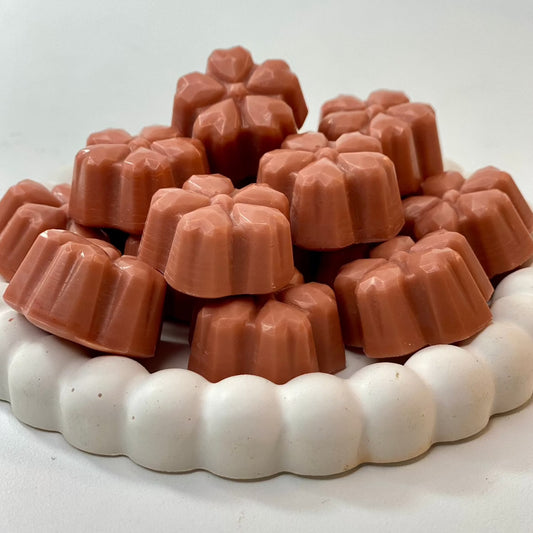 Le fondant de cire végétale, parfumé à la Pomme Cannelle 